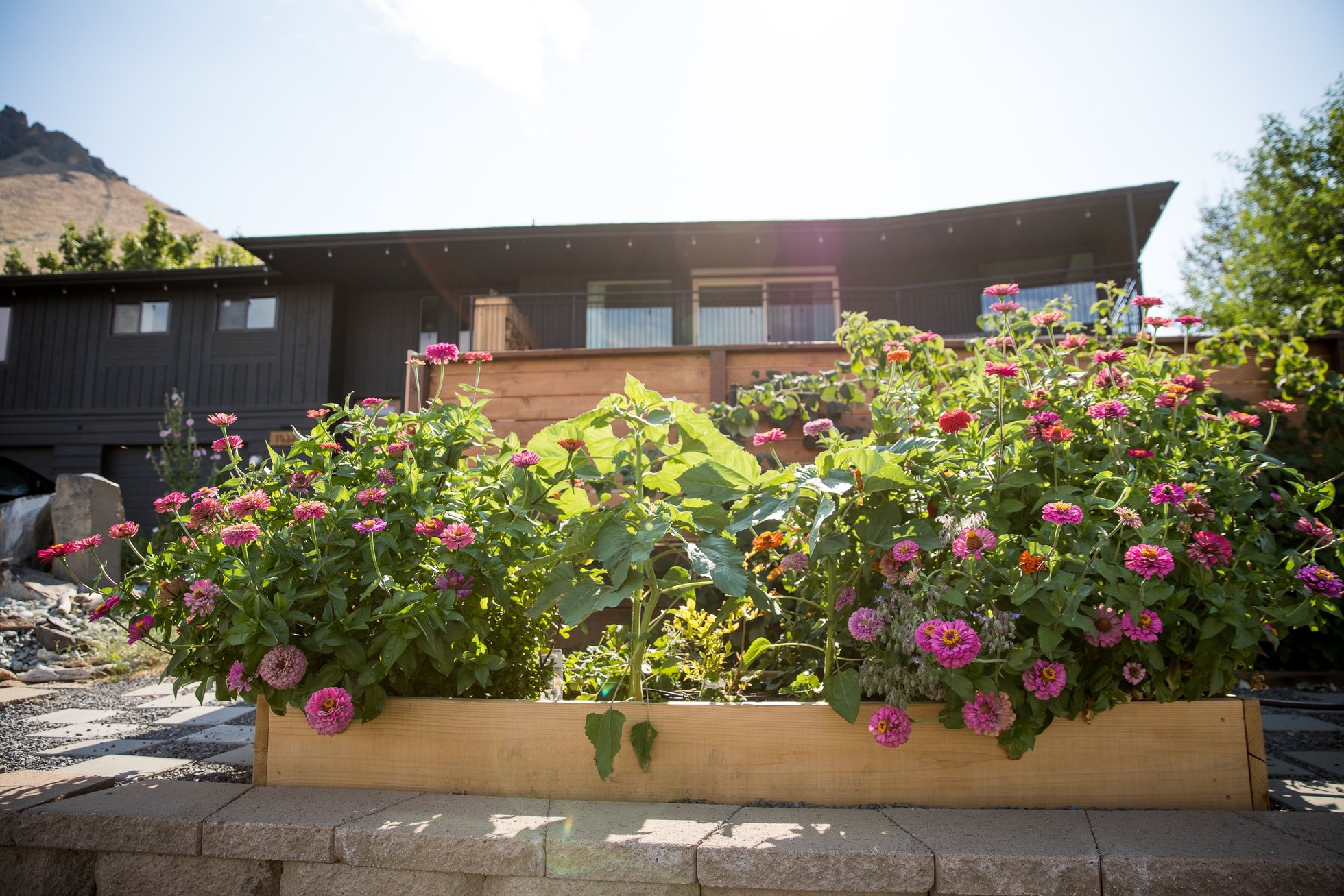 Flower garden and outside approach to the home